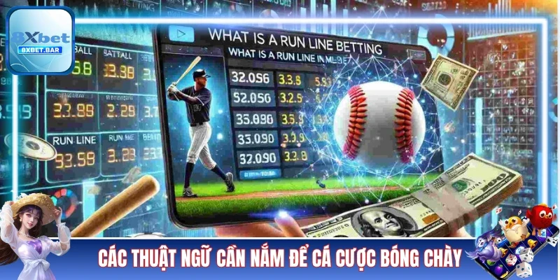Các thuật ngữ cần nắm để cá cược bóng chày