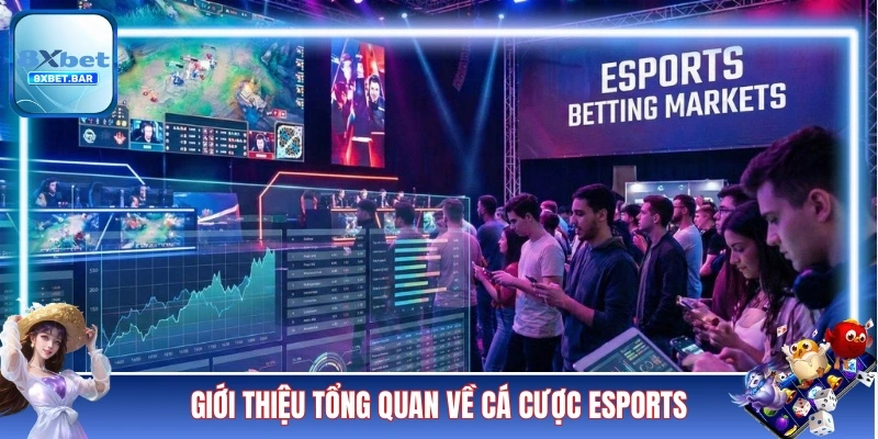 Giới thiệu tổng quan về loại hình cá cược Esports 