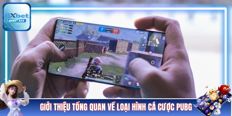 Giới thiệu tổng quan về loại hình cá cược PUBG