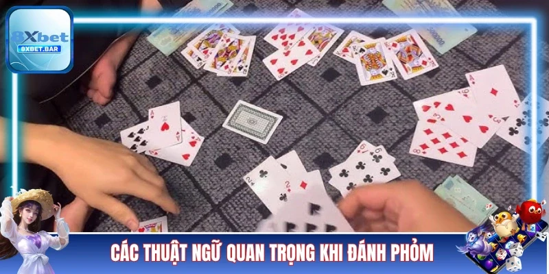 Các thuật ngữ quan trọng khi đánh Phỏm 8XBET