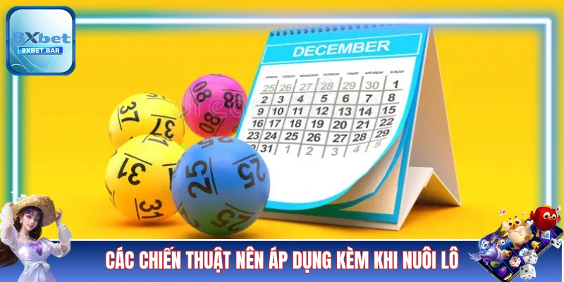 Các chiến thuật nên áp dụng kèm khi nuôi lô