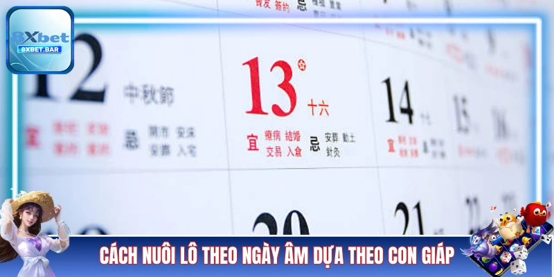 Cách nuôi lô theo ngày âm dựa theo con giáp