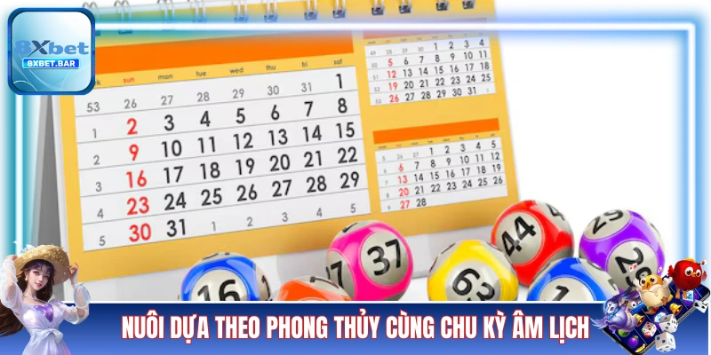 Nuôi dựa theo phong thủy cùng chu kỳ âm lịch