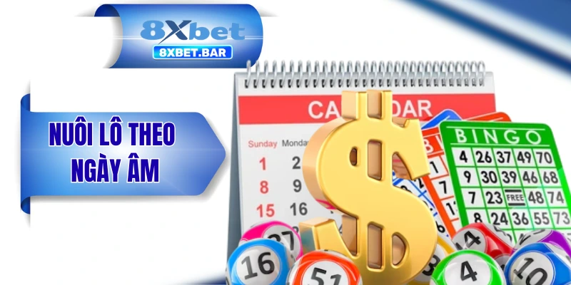 Nuôi Lô Theo Ngày Âm - Kinh Nghiệm Của Dân Số Học Thâm Niên